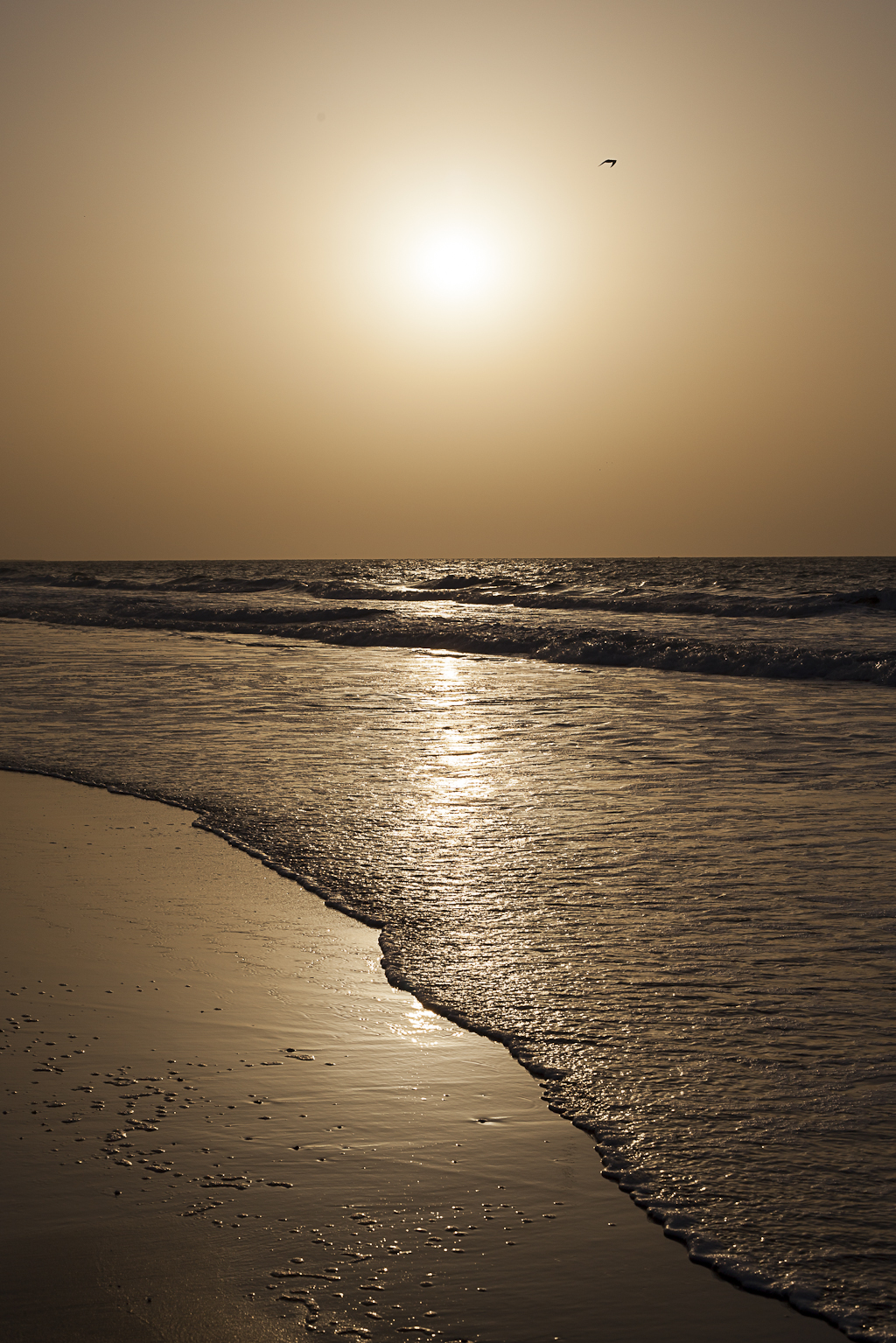 Bord de mer en Gambie, Afrique