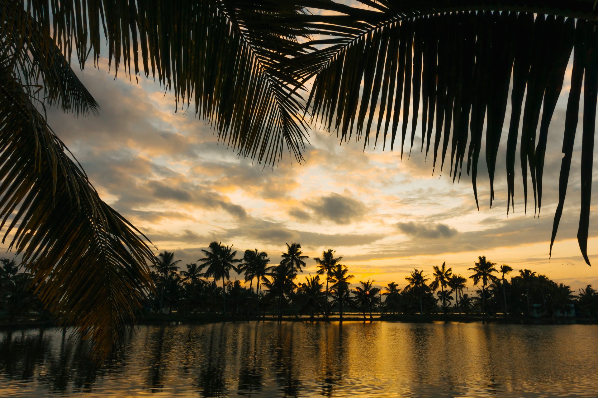 Couché de soleil sur les backwaters en Inde