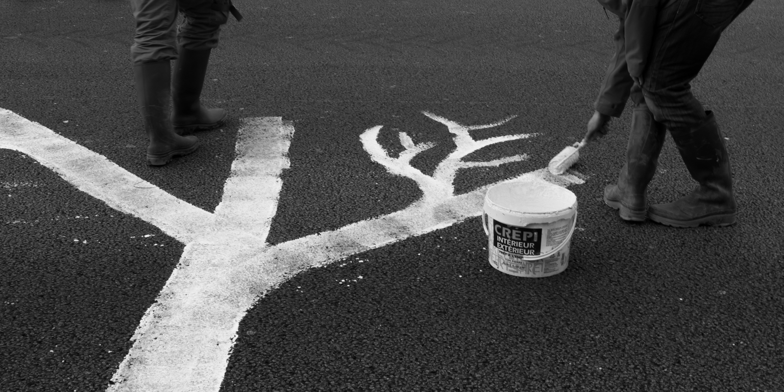 Peinture d'un arbre sur l'autoroute, en protestation au projet d'aéroport à Notre-Dame-Des-Landes